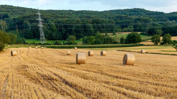 Countryside Summer Sunset Landscape — Stock Photo, Image