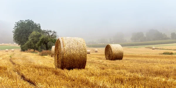Hay Bales on a foggy morning — Stock Photo, Image