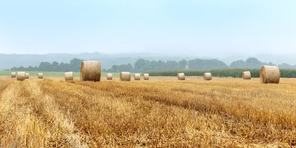 Hay Bales on a foggy morning — Stock Photo, Image