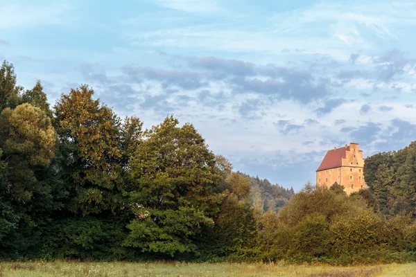Ortaçağ Kalesi Wisentfels — Stok fotoğraf