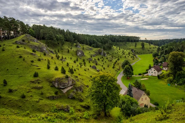 Juniper hellingen in de vallei van de kleinziegenfeld in Duitsland — Stockfoto