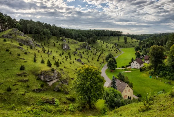 Juniper hellingen in de vallei van de kleinziegenfeld in Duitsland — Stockfoto