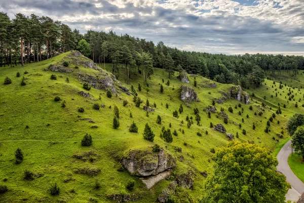 杜岩质边坡在德国的 kleinziegenfeld 谷 — 图库照片