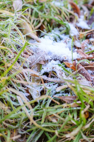 Första höst frost. — Stockfoto