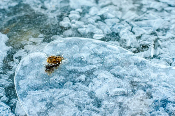 氷の質感. — ストック写真