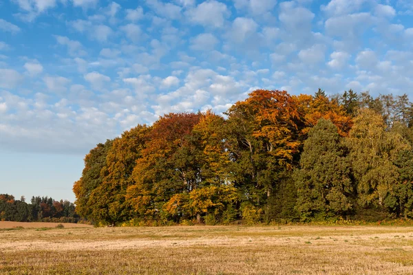 Herfst in Beieren — Stockfoto