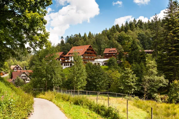 Sommer im Schwarzwald — Stockfoto