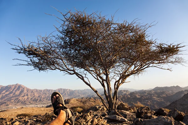 Relaxing Vacation in the UAE — Stock Photo, Image