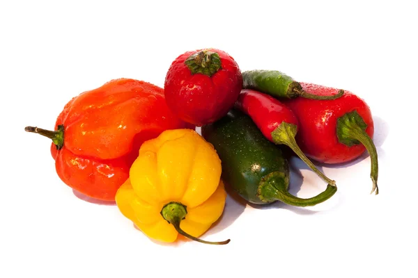 Uspořádání mokré chilli — Stock fotografie