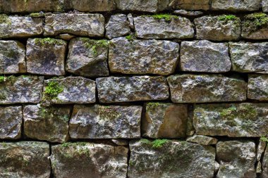 brickwall arka plan