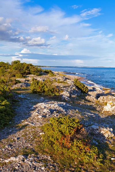 Скелястому узбережжі Gotland — стокове фото