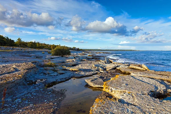 哥特兰海岸线岩石 — 图库照片
