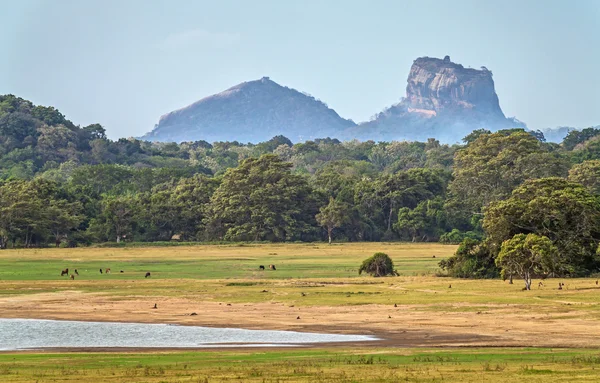 Sigiriya kaya ile peyzaj