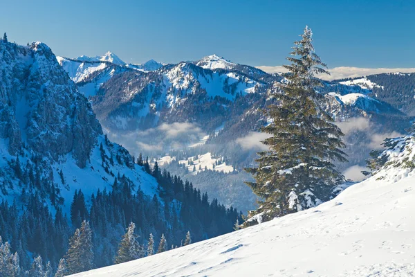 Paesaggio invernale — Foto Stock