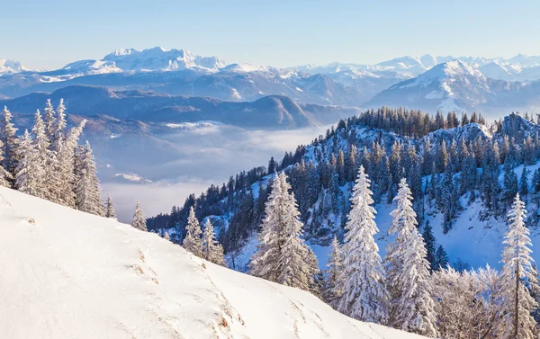 Winter landscape Stock Picture