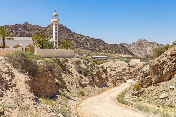 Oase und Moschee — Stockfoto