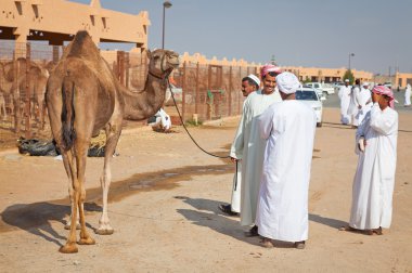 deve pazarda geleneksel: al ain, Birleşik Arap Emirlikleri