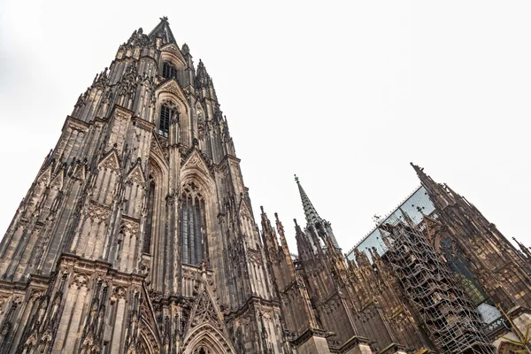 Catedral de Colonia — Foto de Stock