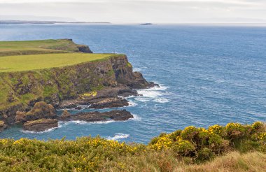 Causeway, Kuzey İrlanda dev