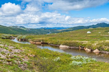 Norveç peyzaj üzerinde göster
