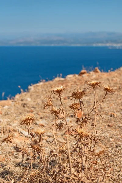 Linha costeira em Creta — Fotografia de Stock