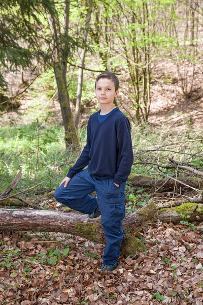 Bra snygg pojke står i en skog — Stockfoto