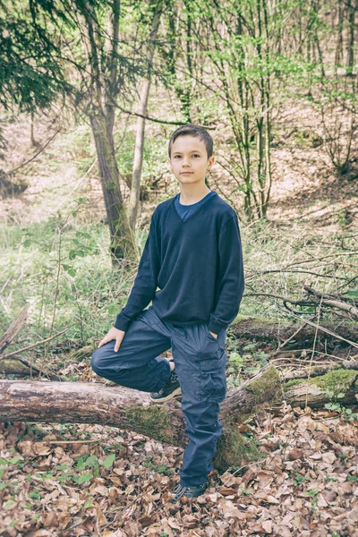 Good looking boy standing in a forest — Stock Photo, Image