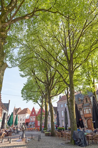 Pietre calcaree e alberi — Foto Stock