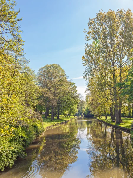 Krásný park — Stock fotografie