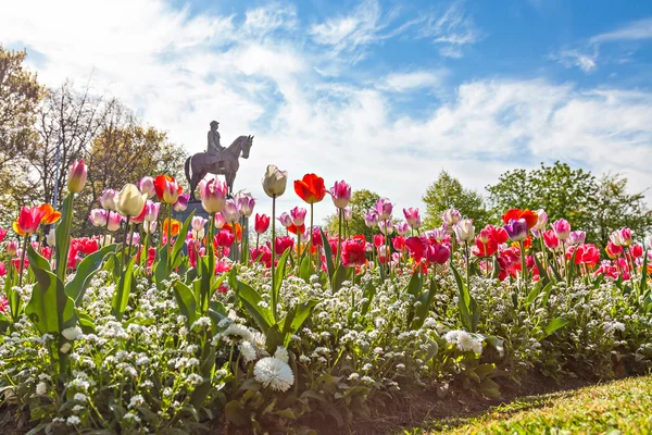 Tulipani con Statua — Foto Stock