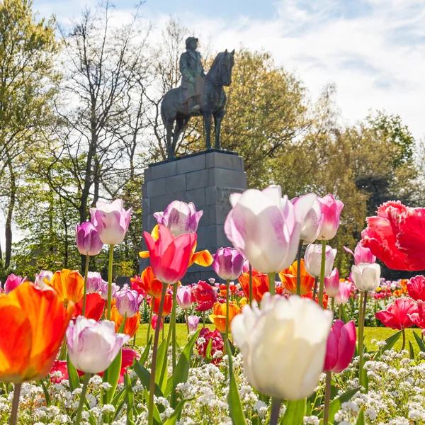 Tulips with Statue — Stock Photo, Image