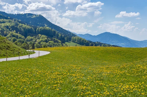 Bavarian Mountain — Stock Photo, Image