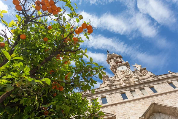 Sinaasappelboom Valencia Met Beroemd Oud Gebouw Achtergrond Een Prachtige Dag — Stockfoto