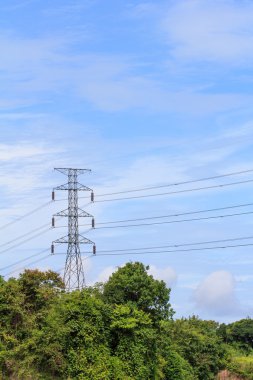 elektrik direği ile vahşi lastik