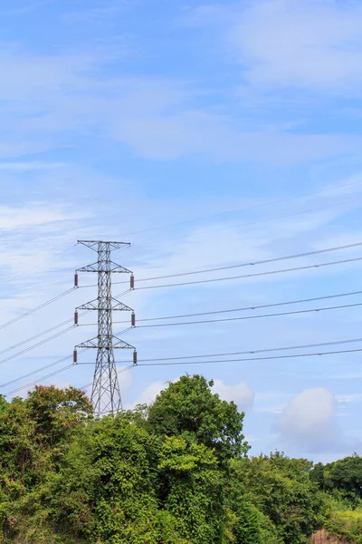 elektrik direği ile vahşi lastik