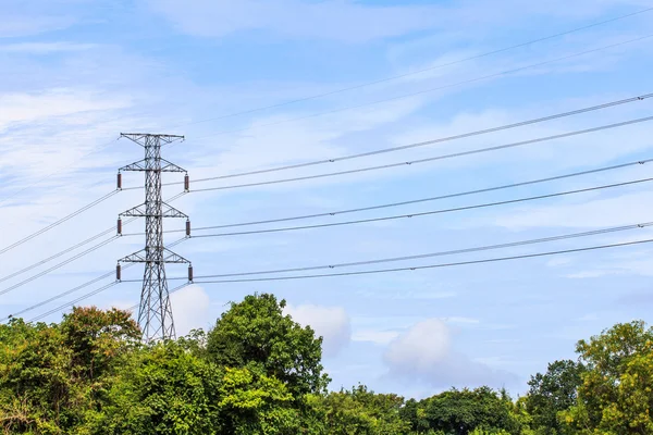 elektrik direği ile vahşi lastik