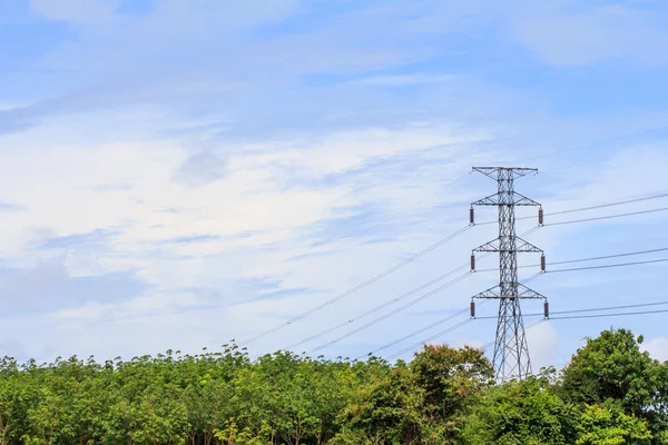 elektrik direği ile vahşi lastik