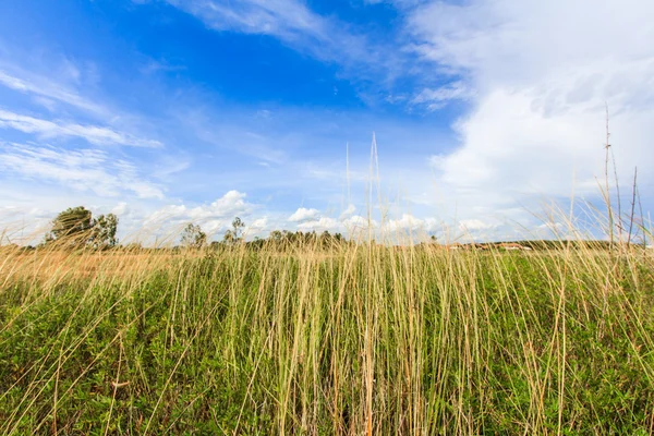 Mavi gökyüzü arka plan beyaz bulutlar