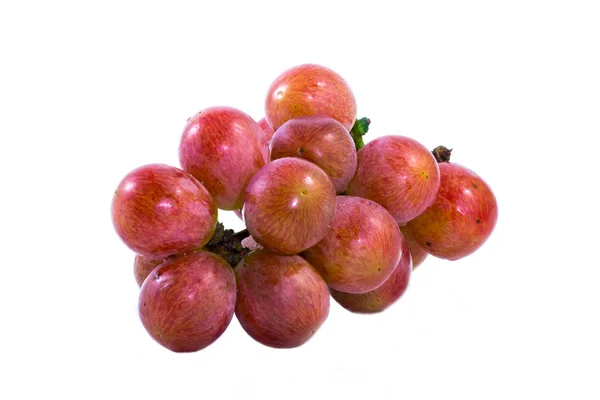 Kırmızı üzümler