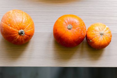 Hayat, mum, rowan çileği ve balkabağı mumları oturma odasında masanın üstünde, ev dekoru rahat bir evde. Sonbahar hafta sonu konsepti.