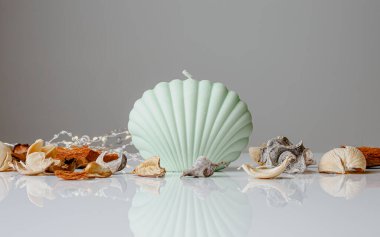 Ceramic pastel design round hole vases with seashell candles and soft aroma grass. Cozy home. Christmas decoration.