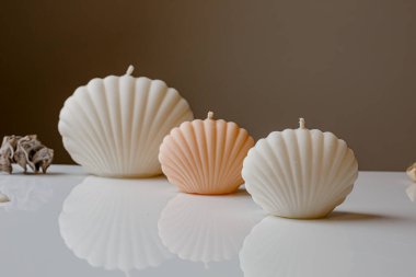 Ceramic pastel design round hole vases with seashell candles and soft aroma grass. Cozy home. Christmas decoration.