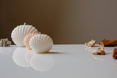 Ceramic pastel design round hole vases with seashell candles and soft aroma grass. Cozy home. Christmas decoration.