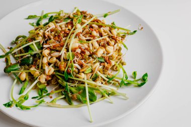 Microgreen, lentil sprouts, mung beans sprouts, raisins, sunflower seeds, flax seeds and arugula salad with mint and orange, lemon dressing. Summer dish. Healthy food. White plate. White background.