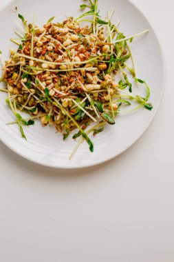 Microgreen, lentil sprouts, mung beans sprouts, raisins, sunflower seeds, flax seeds and arugula salad with mint and orange, lemon dressing. Summer dish. Healthy food. White plate. White background.
