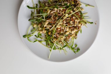 Microgreen, lentil sprouts, mung beans sprouts, raisins, sunflower seeds, flax seeds and arugula salad with mint and orange, lemon dressing. Summer dish. Healthy food. White plate. White background.