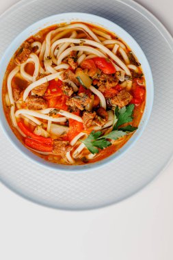 Classic Japanese udon stir fry wheat noodles with wok-style vegetables and teriyaki sauce, beef, sesame, onions, green beans, cilantro, paprika, broccoli, cucumber, parsley. Light blue plates