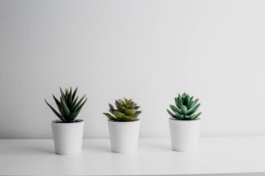 Decorative artificial ceramic and metal cactus, succulent and cactuses on white wall background. Light blue and mint glass vase. Home decoration. Side view. Copy space.