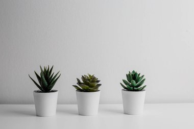 Decorative artificial ceramic and metal cactus, succulent and cactuses on white wall background. Light blue and mint glass vase. Home decoration. Side view. Copy space.