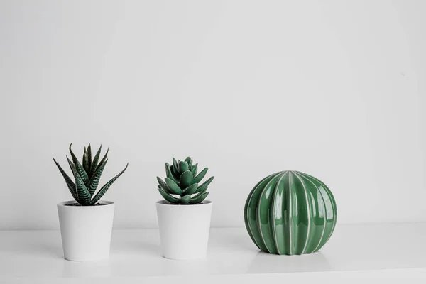 Decorative Artificial Ceramic Metal Cactus Succulent Cactuses White Wall Background — kuvapankkivalokuva